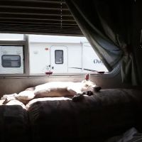 Cliff and Ed's Campground ico