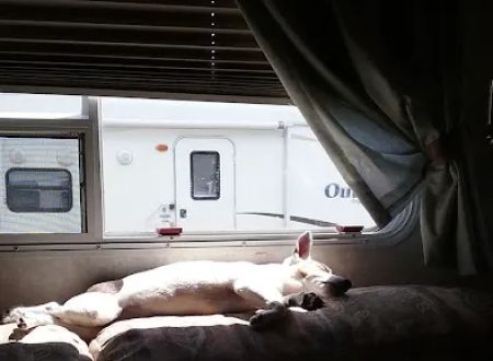Cliff and Ed's Campground