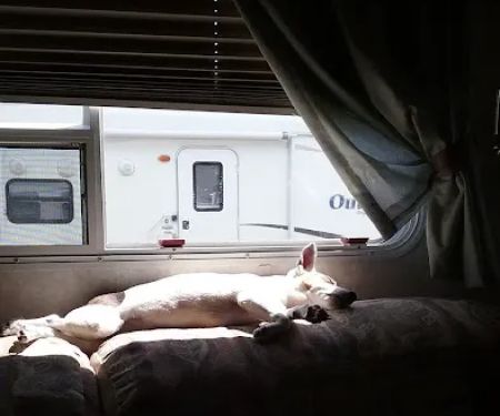 Cliff and Ed's Campground