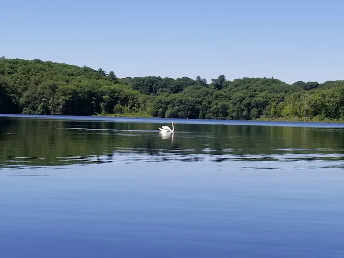 Barton Cove Campground and Canoe Rental Picture 1