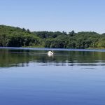 Barton Cove Campground and Canoe Rental