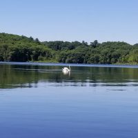 Barton Cove Campground and Canoe Rental ico