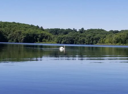 Barton Cove Campground and Canoe Rental