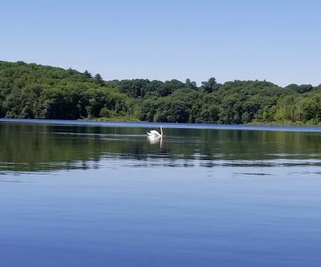 Barton Cove Campground and Canoe Rental