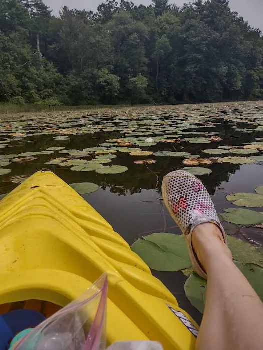 Barton Cove Campground and Canoe Rental Picture 2