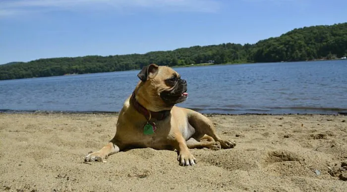 Barton Cove Campground and Canoe Rental Picture 6