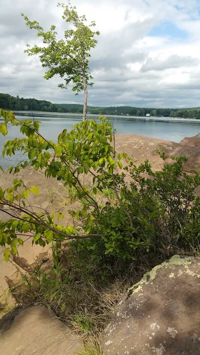 Barton Cove Campground and Canoe Rental Picture 8