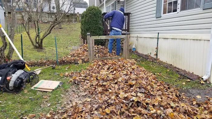 Todd Village LLC. Park Picture 7