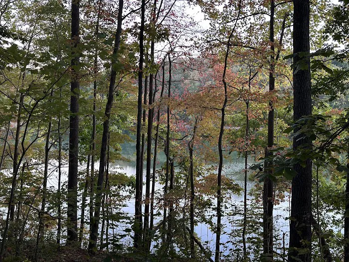 Lakeview Village Picture 3
