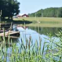 Forest Lake Campground ico