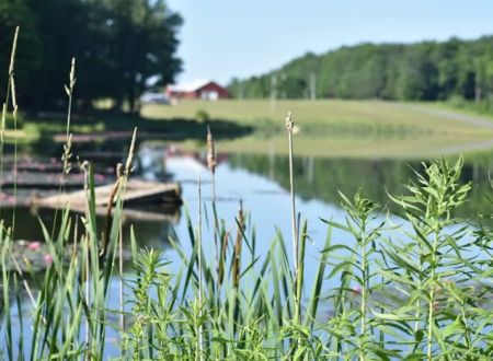 Forest Lake Campground