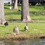 Paradise Cove Campground