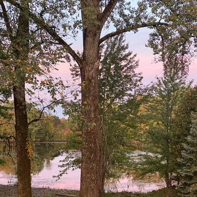 The Landing Campground Picture 6