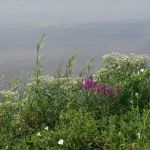 Edgewater Seasonal Campground