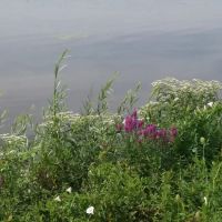 Edgewater Seasonal Campground ico