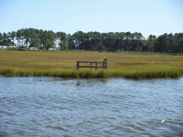 Mariner's Cove Picture 4