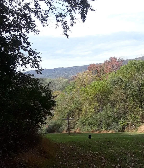 Camp Swatara Picture 7