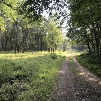 Weiser State Forest Greenland Tract ico
