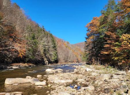 World's End State Park Family Campground