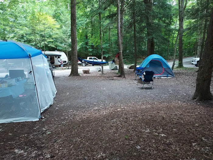 World's End State Park Family Campground Picture 5