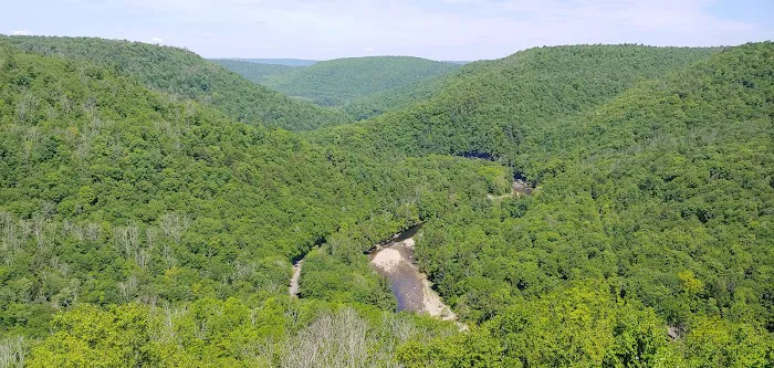 World's End State Park Family Campground Picture 4