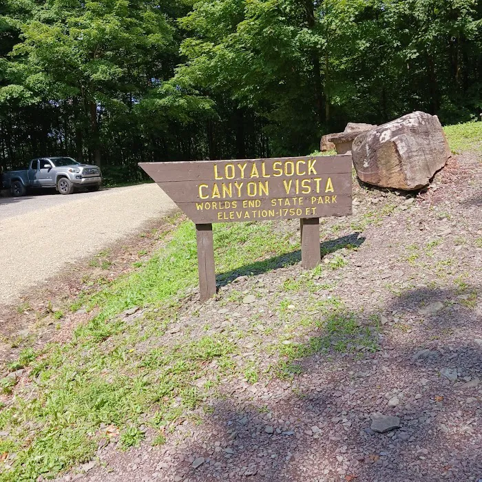 World's End State Park Family Campground Picture 7