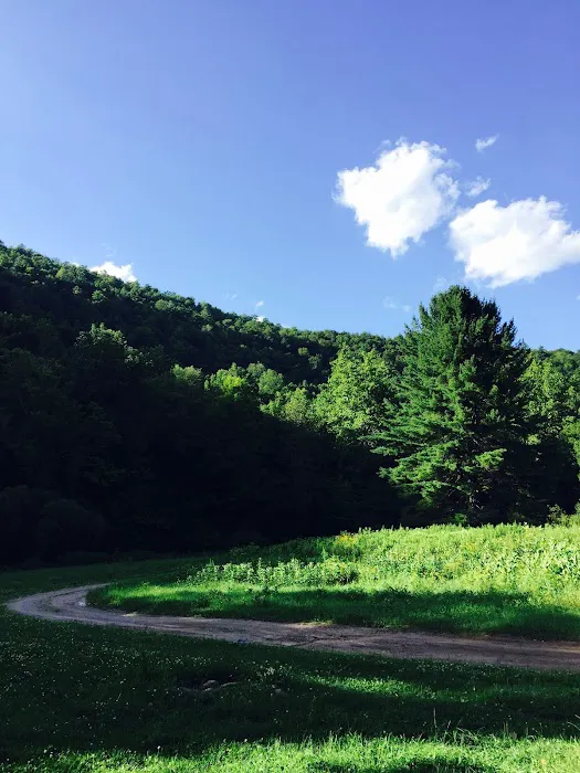 Almost Heaven Campground Picture 9