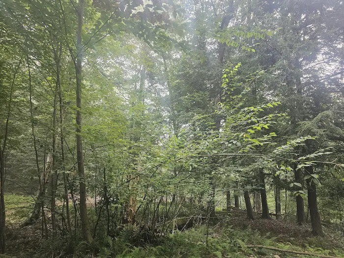 Elk Creek Escape Picture 5
