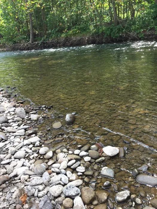 Creekside Manor Campground Picture 3