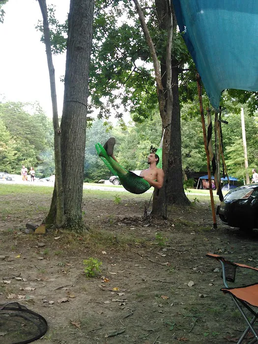 Hookie's Grove Picture 1