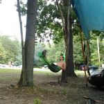 Hookie's Grove