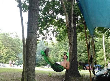 Hookie's Grove