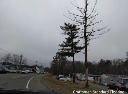 Easton Mobile Home Park