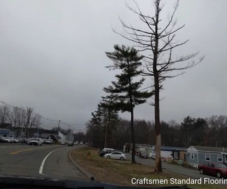 Easton Mobile Home Park