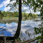 Gifford Pinchot State Park Campground