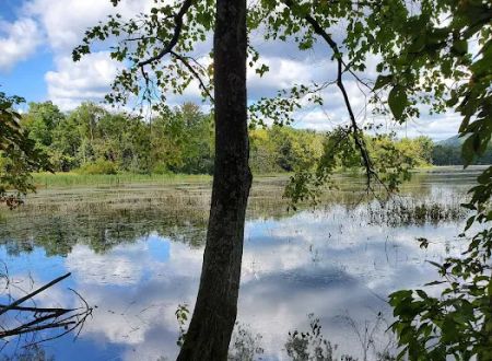 Gifford Pinchot State Park Campground