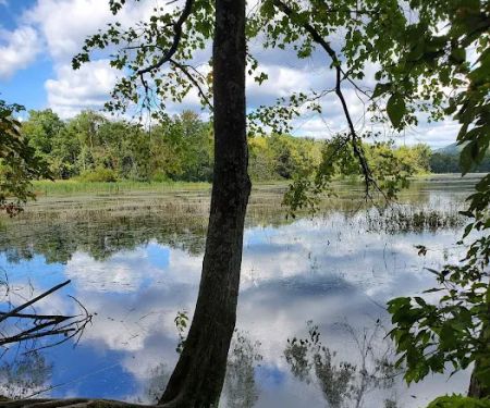 Gifford Pinchot State Park Campground