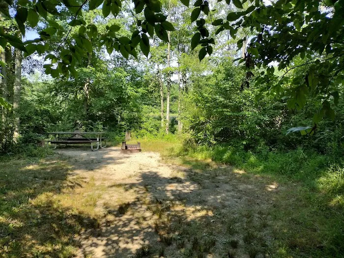 Gifford Pinchot State Park Campground Picture 6
