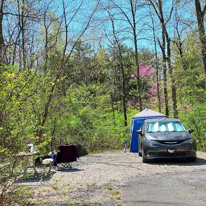 Gifford Pinchot State Park Campground Picture 5