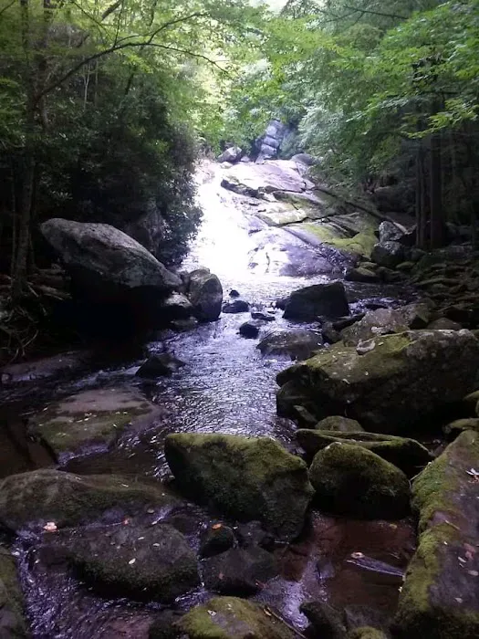 Ben Franklin RV Park Picture 10