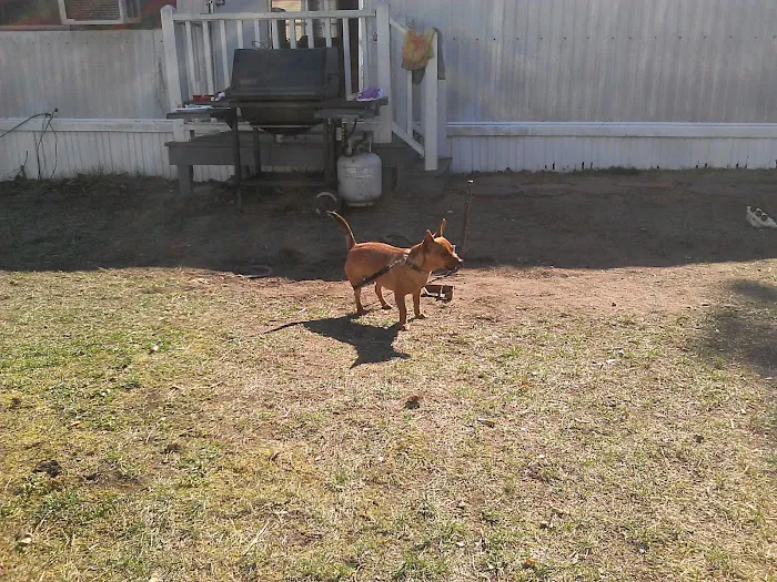Whispering Pines Mobile Home Village & Sales Picture 8