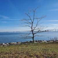 Sandy Point State Park Youth Group Camp Ground ico