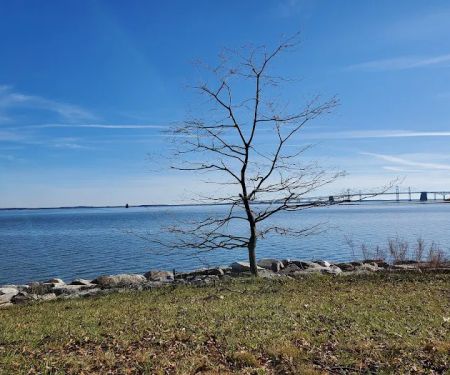 Sandy Point State Park Youth Group Camp Ground