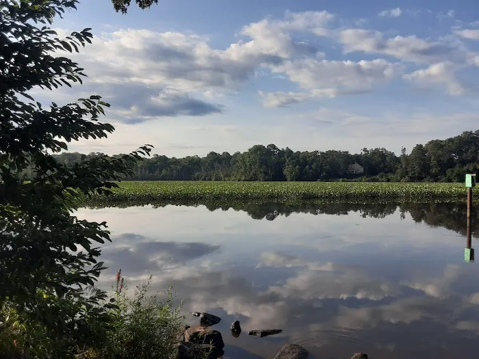 Martinak State Park, Campground, Loop A Picture 2