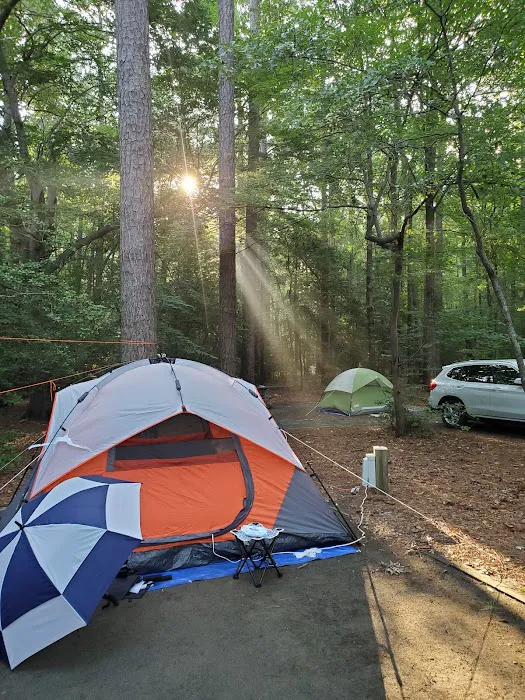 Martinak State Park, Campground, Loop A Picture 4