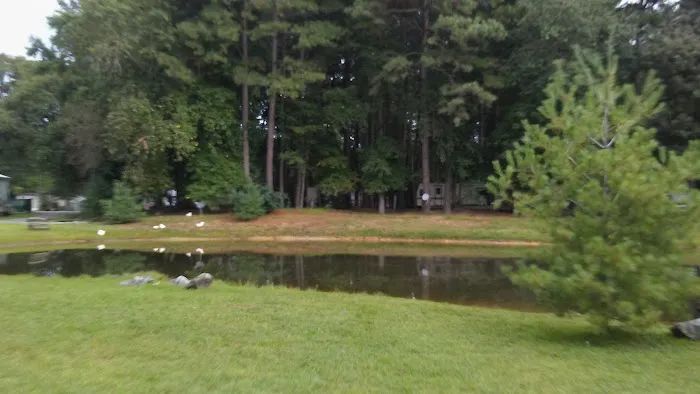 Brumbley's Family Park Campground Picture 5