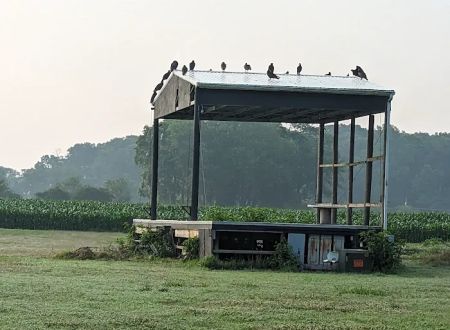 Deep Branch Family Campground