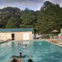 Tall Pines Campground Resort ico