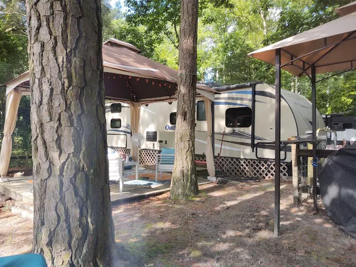 Tall Pines Campground Resort Picture 5