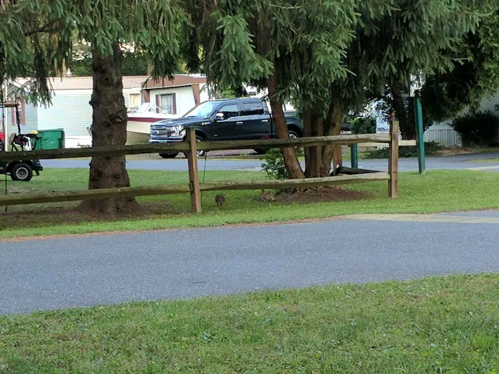 Tall Pines Campground Resort Picture 8
